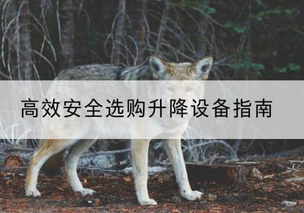 乡宁升降货梯厂家推荐-*安全选购升降设备指南