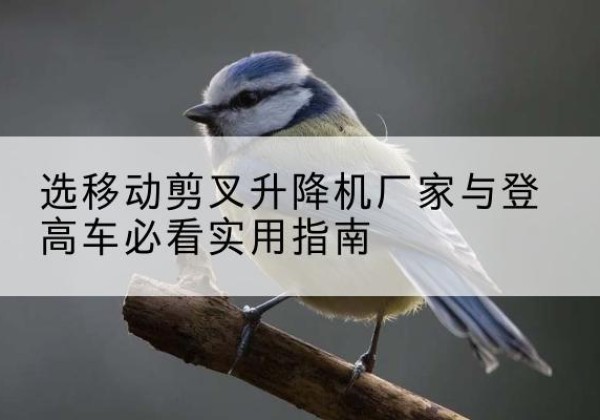 乡宁电动升降机厂家-选移动剪叉升降机厂家与登高车必看实用指南
