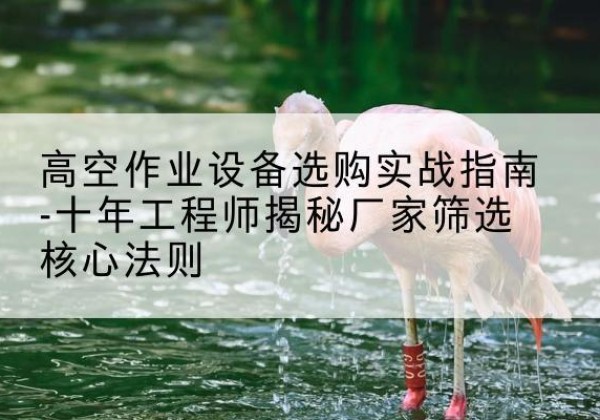 乡宁剪叉式升降机厂家-高空作业设备选购实战指南-十年工程师揭秘厂家筛选核心法则